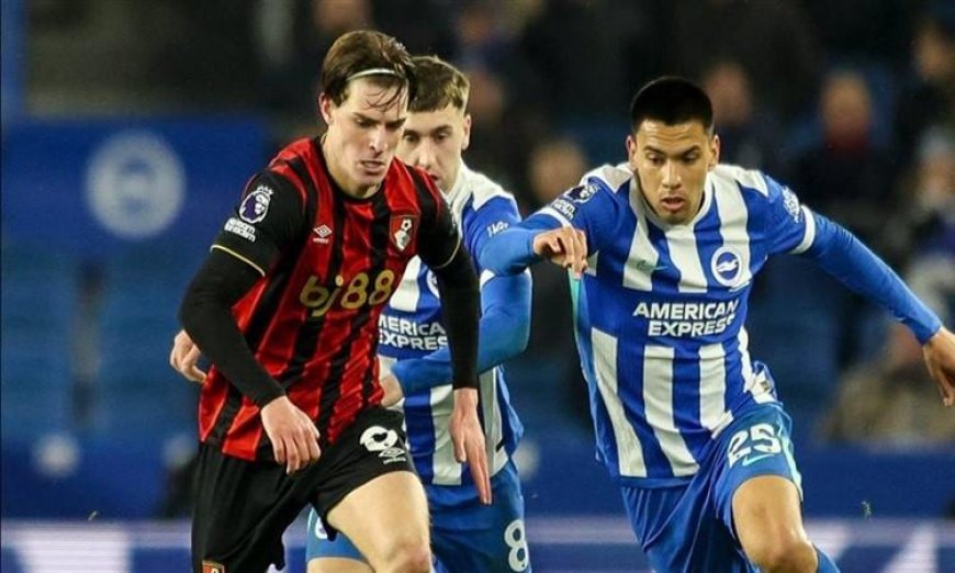 تعادل مثير في الدوري الإنجليزي بين برايتون وإيفرتون يلهب الأجواء