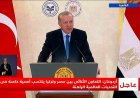 اردوغان يؤكد أهمية التعاون المصري التركي في مواجهة التحديات العالمية الحالية