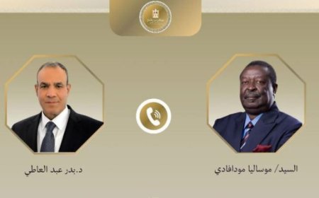 وزير الخارجية يبرز عمق العلاقات المصرية الكينية في لقاء مع نظيره الكيني