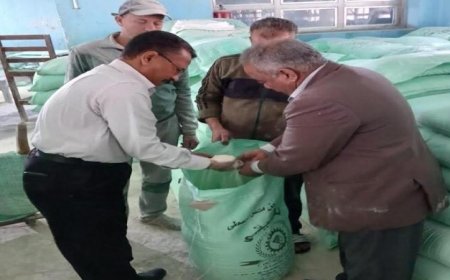 تحرير 371 مخالفة تموينية في حملات تفتيش مكثفة على المخابز والأسواق في المنيا