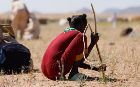 أطفال السودان على حافة الهاوية ونداء عاجل لتدخل دولي لإنقاذ أرواحهم