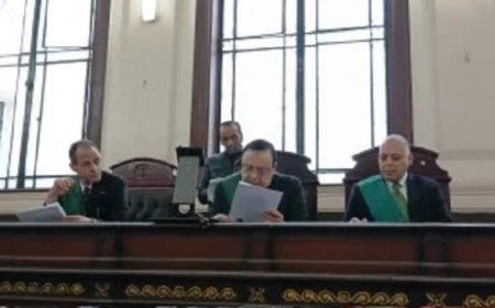 إحالة جنايني مدرسة دولية بالإسكندرية إلى الإعدام بتهمة هتك عرض طلاب وصغار