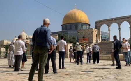 مستوطنون يطلقون مسار اقتحام جديد داخل المسجد الأقصى في انتهاك صارخ للمقدسات