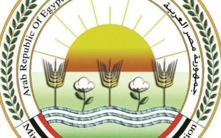 افتتاح معرض السلع الغذائية غدا الاثنين بحضور وزيرا الزراعة والتموين ومحافظ الجيزة