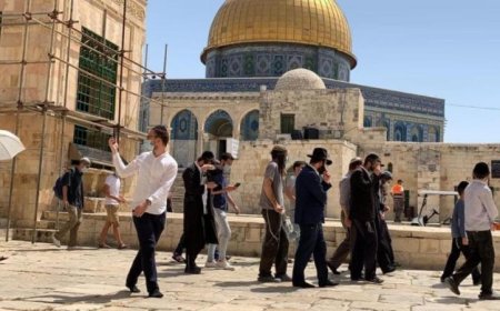 اقتحام 4397 مستوطنا لباحات الأقصى في يناير 2026 يثير موجة من ردود الفعل