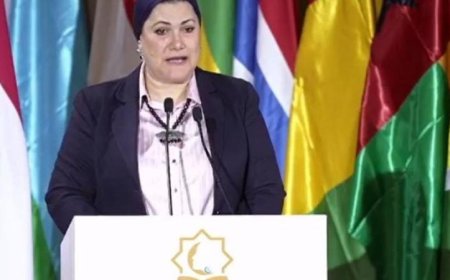 رئيسة هيئة الطفولة والأمومة تكشف عن إعداد المجلس للآلية الوطنية لحماية الطفل والأم