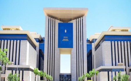 مصر تندد بشدة بالهجوم الإرهابي على مطار ديوري حماني في العاصمة النيجرية نيامي