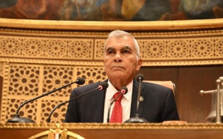 مجلس الشيوخ يوافق مبدئيا على تعديل قانون المستشفيات الجامعية لدعم الخدمات الصحية