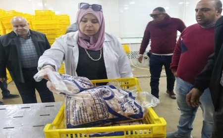 حملات مكثفة من وزارة الطب البيطري لضمان سلامة المجازر والأسواق في الفيوم