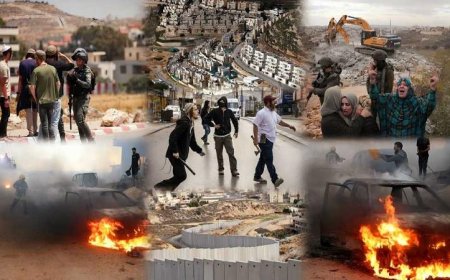 مستوطنون يرتكبون 1872 اعتداء في يناير الماضي ضد مقاومة الجدار والاستيطان الفلسطيني