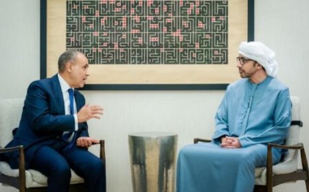 وزير الخارجية يبحث مع نظيره الإماراتي آخر مستجدات القضية الفلسطينية