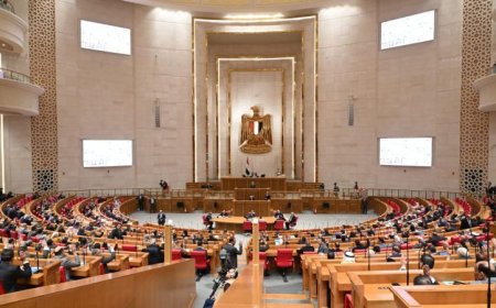 العطيفي يمثل برلمانية حماة الوطن وداود يتوجه للوفد في مجلس النواب