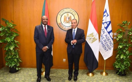 عبد العاطي ونظيره السوداني يحتفلان بتكريم الفريق الطبي للقافلة الطبية في السودان