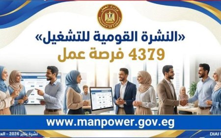 وزارة العمل تعلن عن 4379 فرصة عمل جديدة في 12 محافظة لتعزيز التوظيف