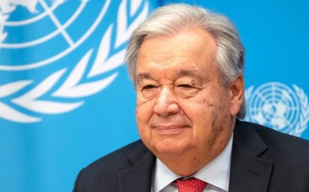 الأمم المتحدة تؤكد ضرورة حل الدولتين وتعتبر غزة جزءًا أساسيًا من الدولة الفلسطينية