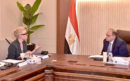 رئيس هيئة الدواء المصرية يعقد اجتماعًا مع هيئة الأعمال السويدية لتعزيز التعاون في القطاع الصحي