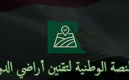 لجنة استرداد الأراضي تسجل 38 ألف طلب تقنين عبر المنصة الوطنية حتى الآن