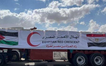 قافلة زاد العزة الـ 131 تصل إلى قطاع غزة لدعم الفلسطينيين