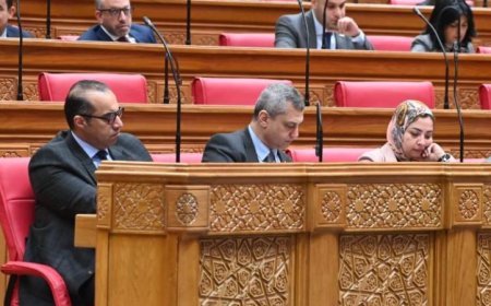 المستشار فوزي يشارك في الجلسة العامة لمجلس النواب لمناقشة قضايا هامة