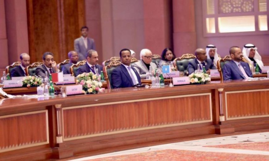 الصومال يعزز جهوده في الدبلوماسية الاقتصادية لبناء شراكات مستدامة