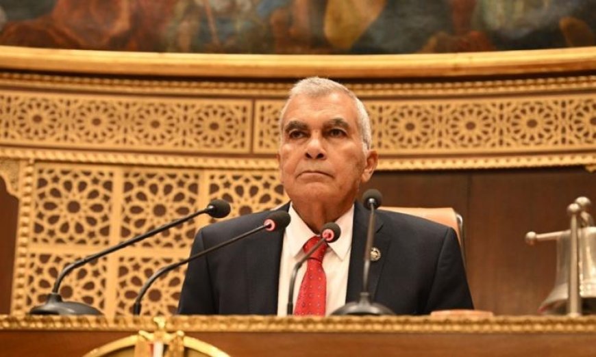 مجلس الشيوخ يرسل تقارير اللجان النوعية بخصوص اقتراحات النواب إلى الحكومة