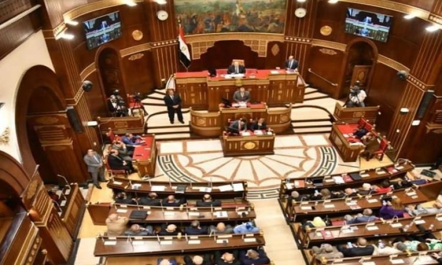 مجلس الشيوخ ينطلق في مناقشات شاملة لحماية الأطفال من مخاطر الإنترنت ووسائل التواصل الاجتماعي