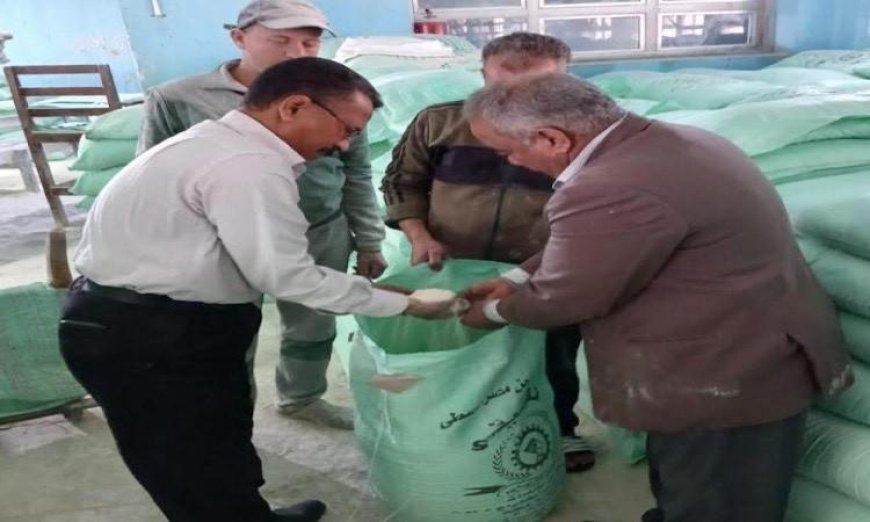 تحرير 371 مخالفة تموينية في حملات تفتيش مكثفة على المخابز والأسواق في المنيا