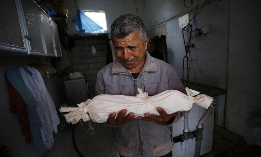 ارتفاع مأساوي في حصيلة الشهداء في قطاع غزة تصل إلى 71795 شهيدا وفق الصحة الفلسطينية