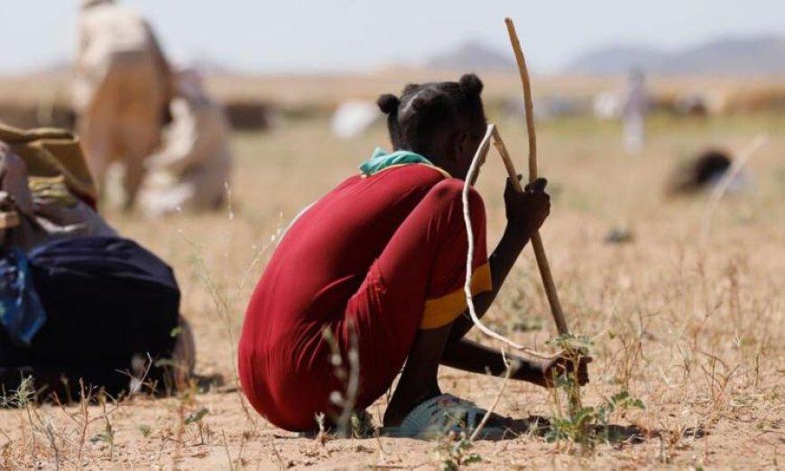 أطفال السودان على حافة الهاوية ونداء عاجل لتدخل دولي لإنقاذ أرواحهم
