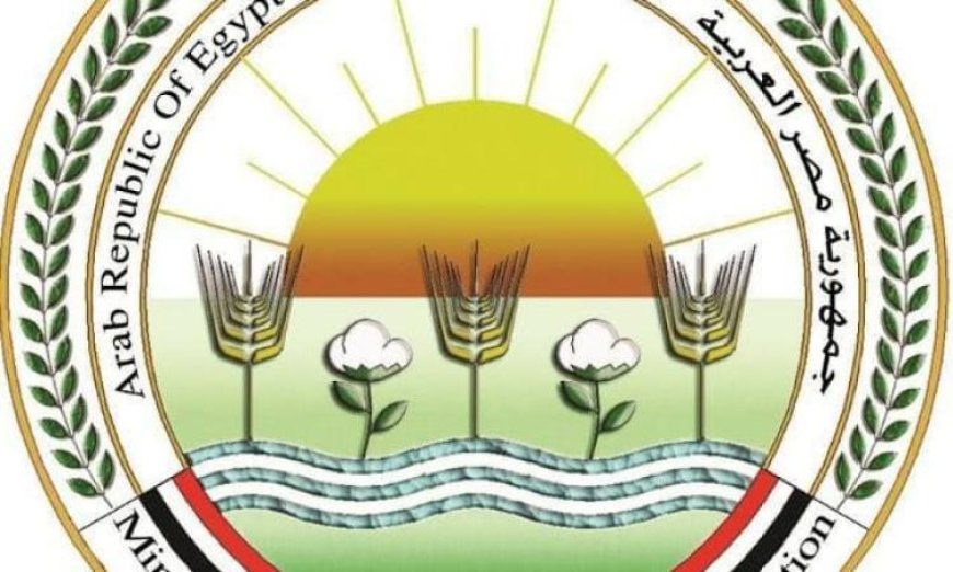 افتتاح معرض السلع الغذائية غدا الاثنين بحضور وزيرا الزراعة والتموين ومحافظ الجيزة