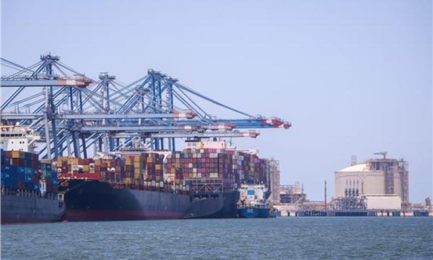 ميناء دمياط يستقبل 23 سفينة حاويات وبضائع متنوعة