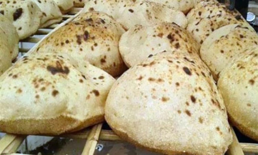 تحرير 281 مخالفة خلال حملات رقابية على الأسواق والمخابز في الدقهلية