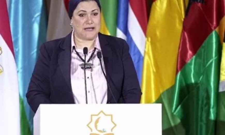 رئيسة هيئة الطفولة والأمومة تكشف عن إعداد المجلس للآلية الوطنية لحماية الطفل والأم