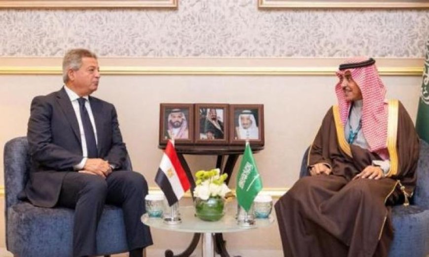 رئيس الهيئة العليا للإعلام يبحث سبل التعاون مع وزير الإعلام السعودي لتعزيز العلاقات الإعلامية