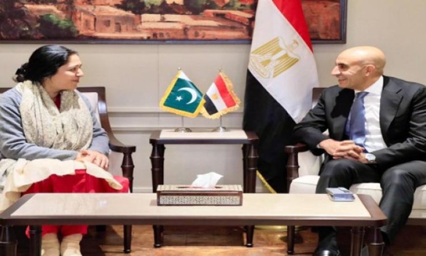 وزير التعليم يناقش مع نظيرته الباكستانية تعزيز تبادل الخبرات في تطوير البرامج التعليمية