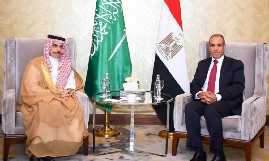 وزير الخارجية المصري والسعودي يؤكدان ضرورة احتواء التوترات ومنع التصعيد في المنطقة