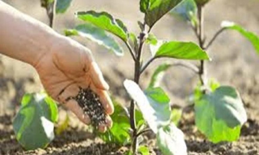 تقنيات التسميد الذكي تتكيف مع احتياجات التربة في الوقت الحقيقي