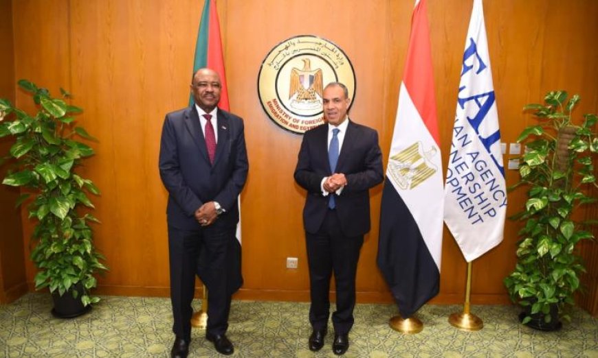 عبد العاطي ونظيره السوداني يحتفلان بتكريم الفريق الطبي للقافلة الطبية في السودان