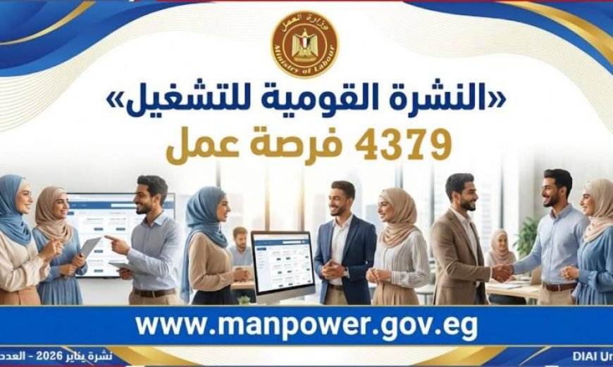 وزارة العمل تعلن عن 4379 فرصة عمل جديدة في 12 محافظة لتعزيز التوظيف