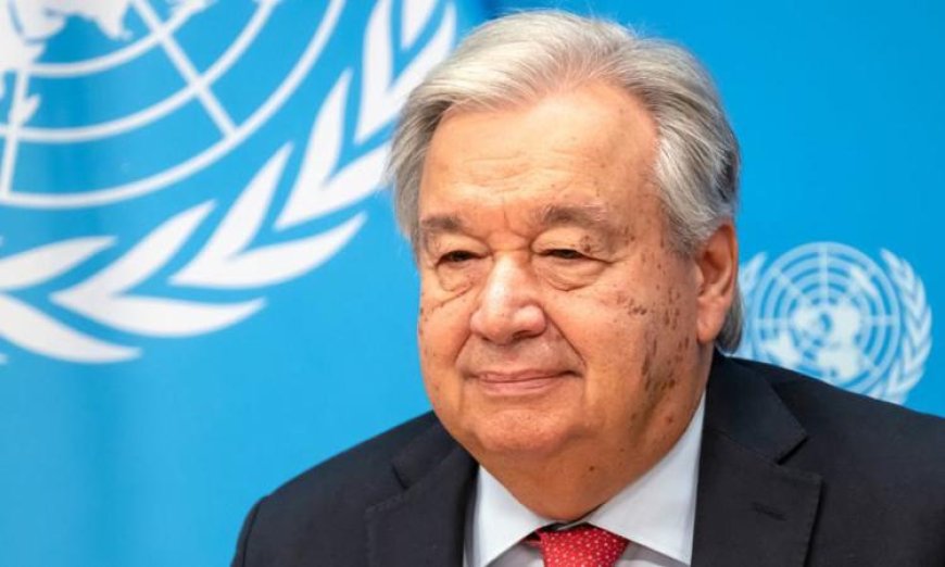 الأمم المتحدة تؤكد ضرورة حل الدولتين وتعتبر غزة جزءًا أساسيًا من الدولة الفلسطينية