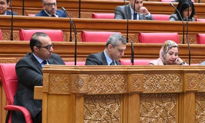 المستشار فوزي يشارك في الجلسة العامة لمجلس النواب لمناقشة قضايا هامة