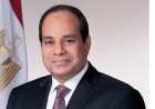 الرئيس السيسي يبرز أهمية تعزيز التعاون بين قطاع البترول وشركة أباتشي