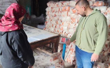 حملات تفتيشية مكثفة في الدقهلية تسفر عن تحرير 162 مخالفة تموينية متنوعة