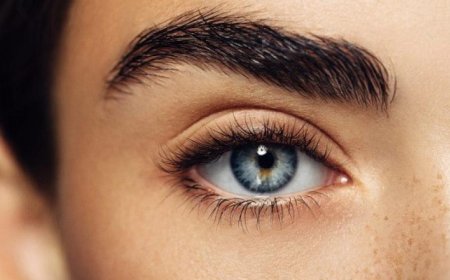 أربعة طرق سهلة وطبيعية لتكثيف الحواجب في المنزل