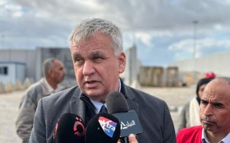 سفير ألمانيا في القاهرة يثني على مصر لدعمها غزة وجهودها في تهدئة التوترات