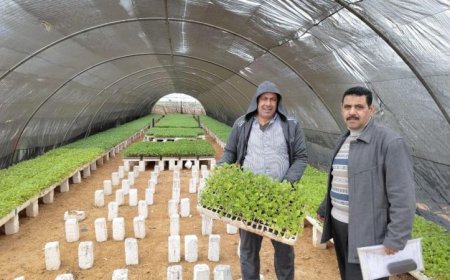 وزارة الزراعة تعزز جولات المتابعة الميدانية للصوب الزراعية لدعم المزارعين وتحسين الإنتاج الزراعي