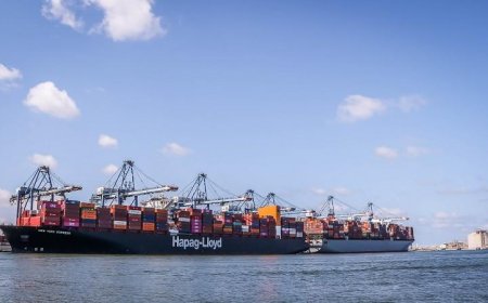 ميناء دمياط يستقبل 30 سفينة حاويات وبضائع عامة في يوم واحد