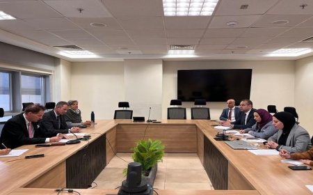 تعاون اقتصادي مثمر بين مصر وألمانيا تحت نظر الخارجية المصرية