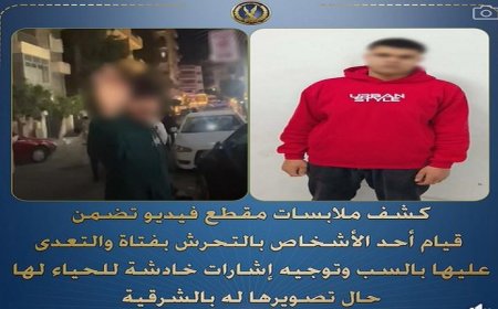 ضبط عامل متهم بالتحرش وسب فتاة واعتداءات خادشة للحياء