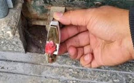 تحرير 113 مخالفة ضد المحلات المخالفة لقرار مجلس الوزراء بإغلاقها لتوفير استهلاك الكهرباء